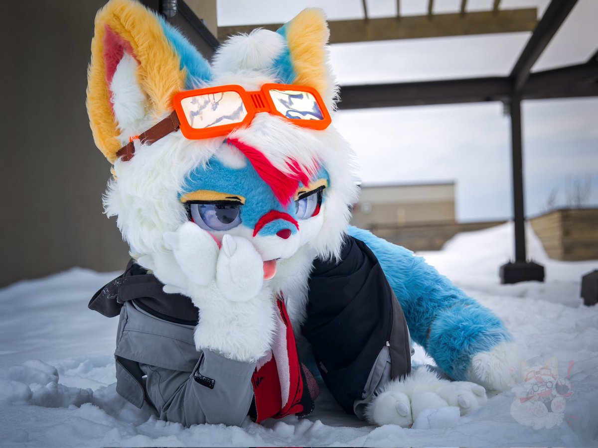 CChuxue初雪 tweet media