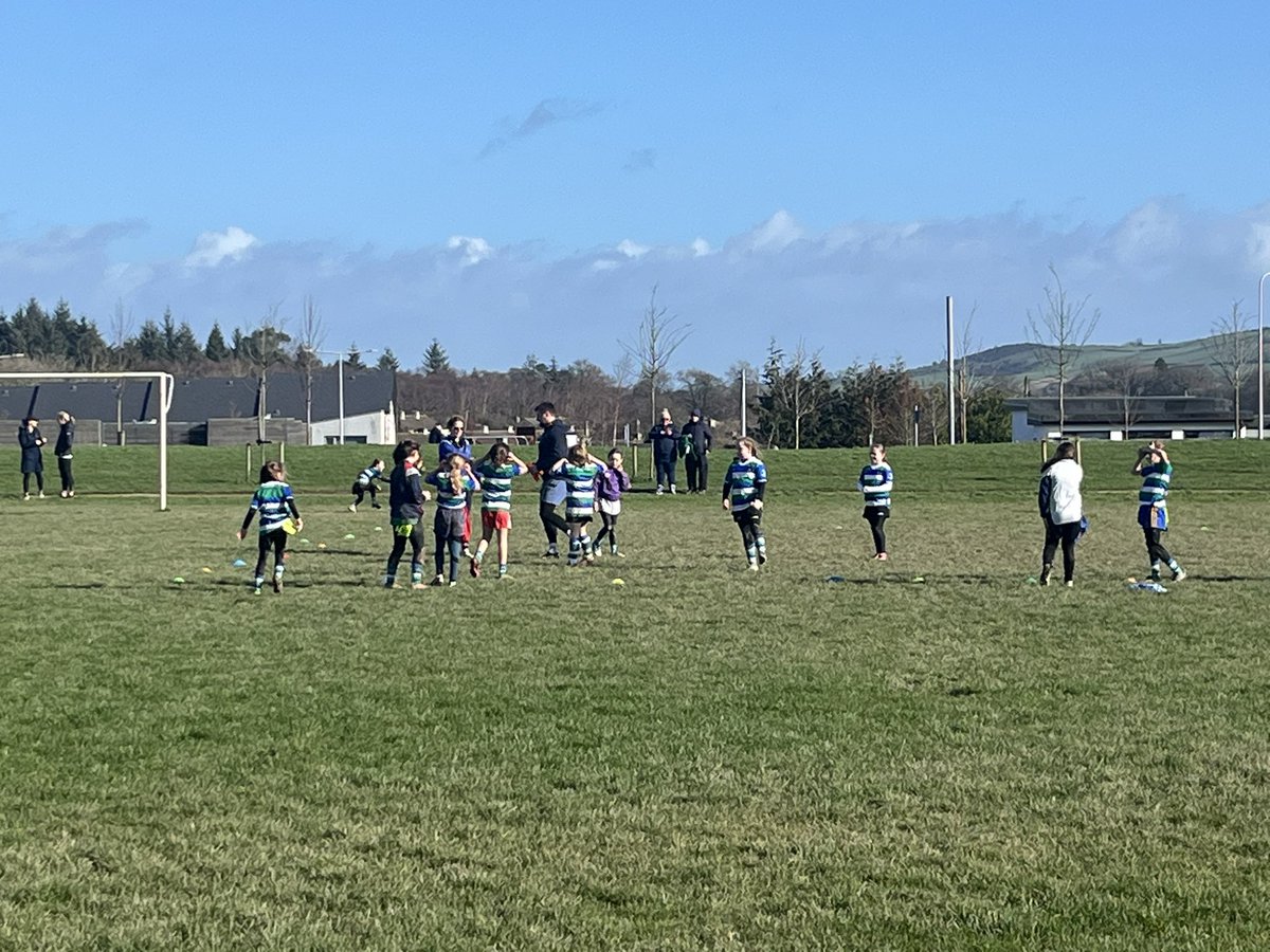 goreyCCRO tweet media