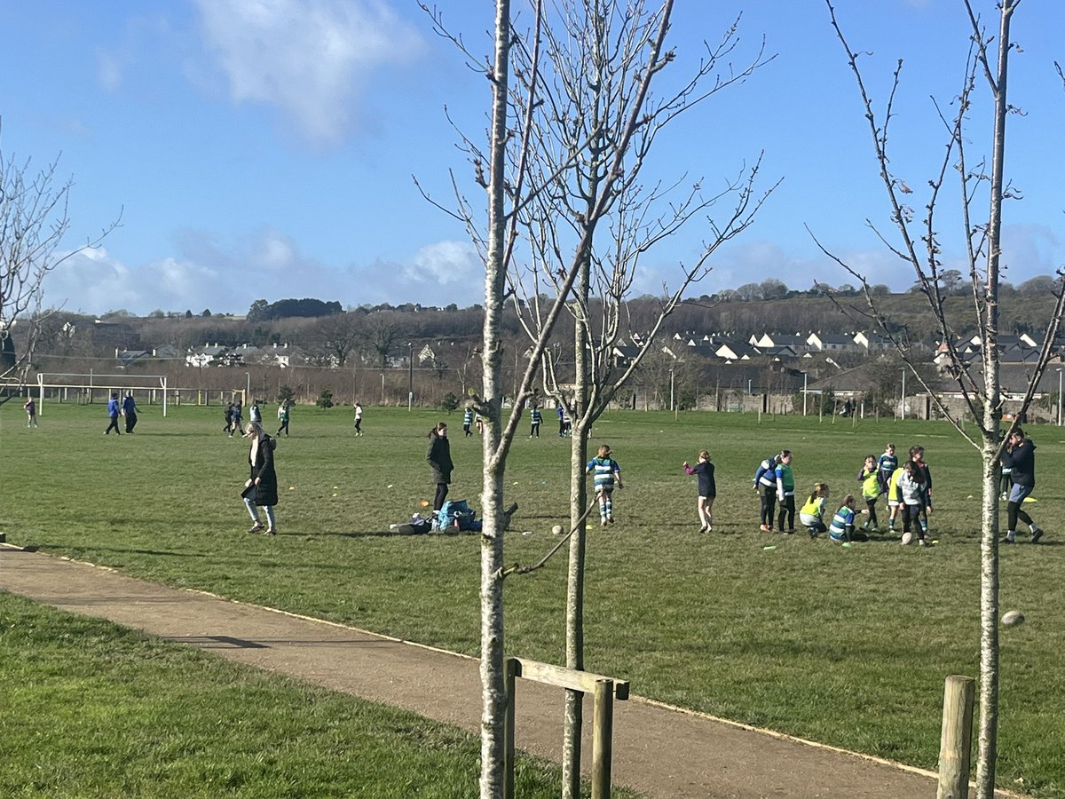 goreyCCRO tweet media