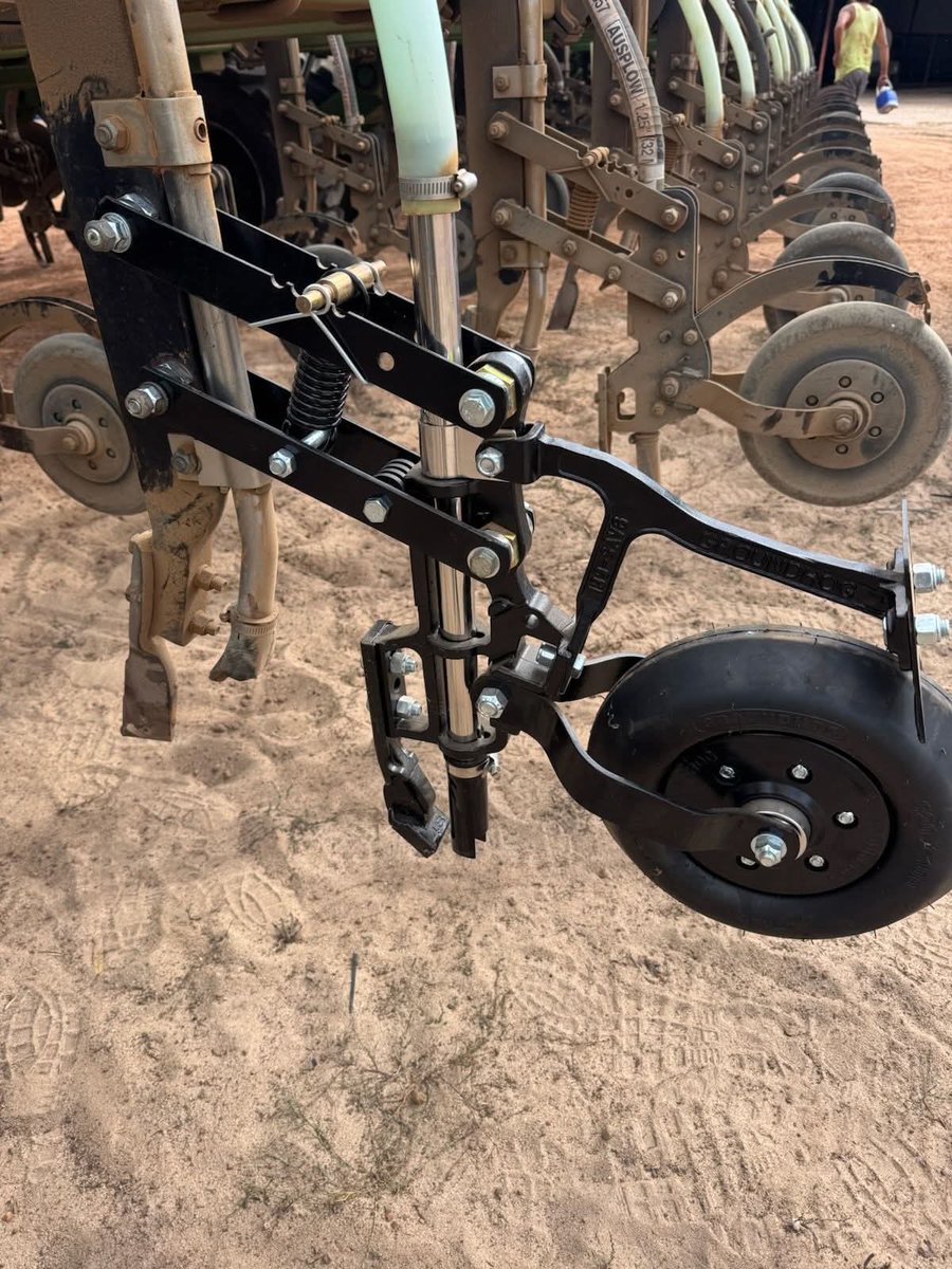 Groundhog tweet media