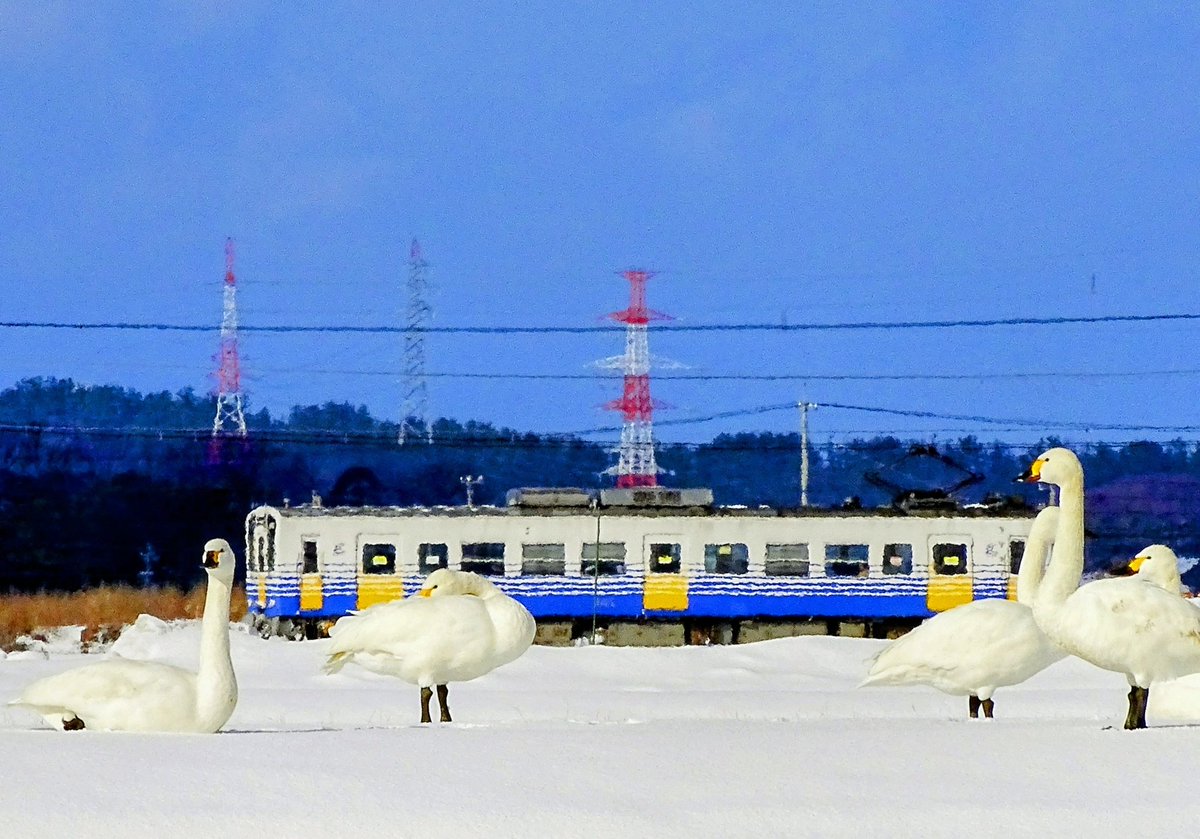 ブーちゃん (@gj5lSm7sYCsZlZP) / Posts / X