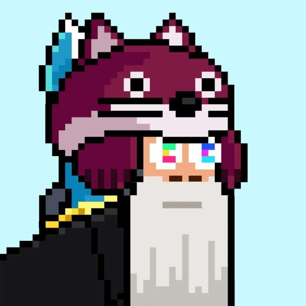 NAPP.eth tweet media