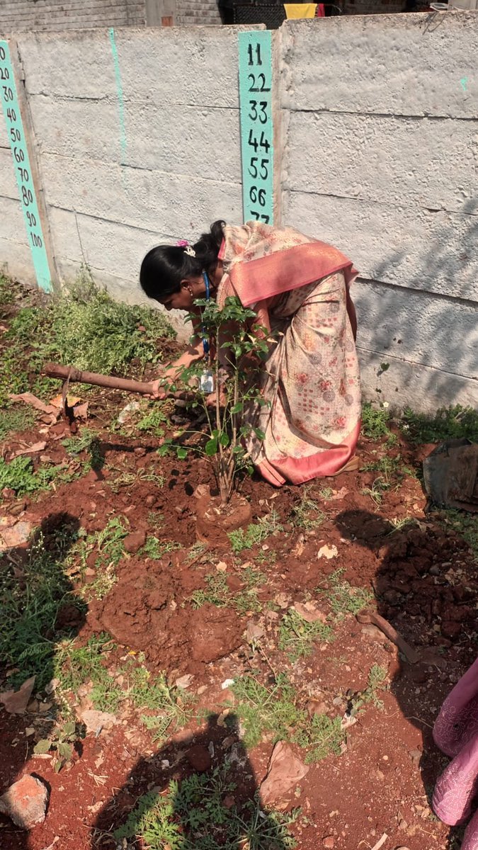 ManjushaSwami1's tweet photo. Today's planted tree @tree https://t.co/z9I0Og07GJ