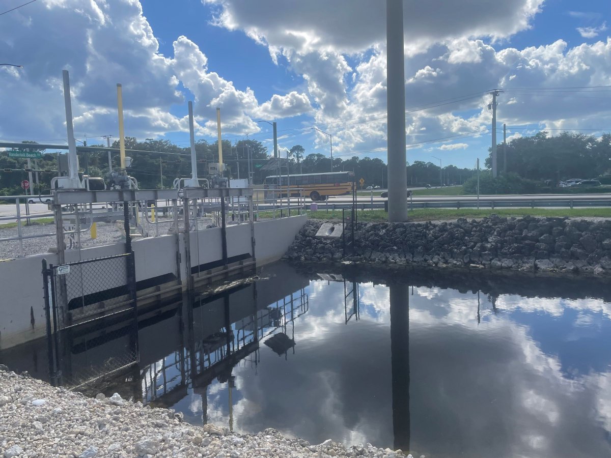 KeepCollierBeautiful tweet media