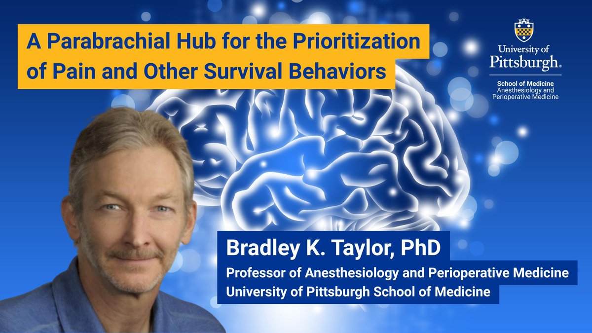 Pitt Anesthesiology and Perioperative Medicine tweet media