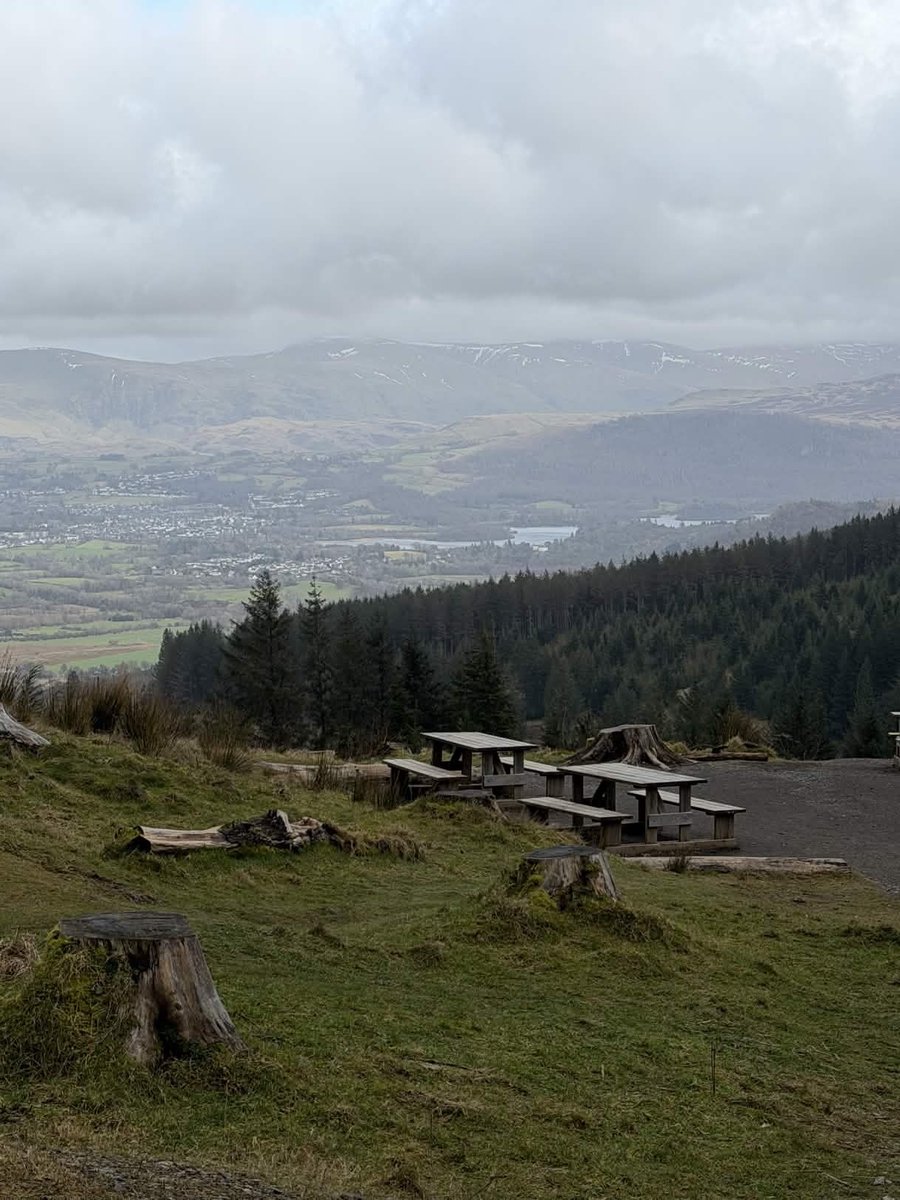 Postcard from Britain tweet media