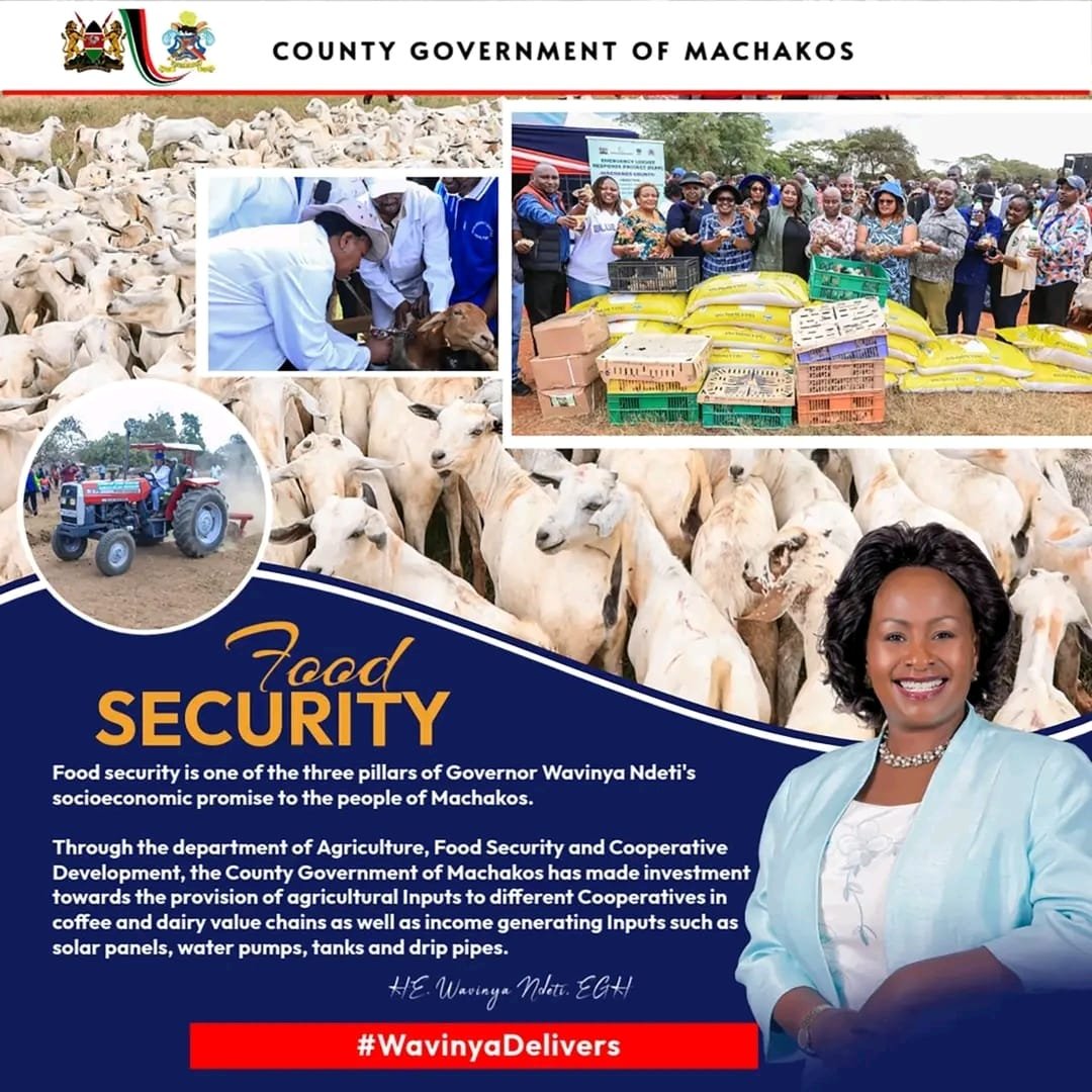 Great job, Governor Wavinya Ndeti! The massive strides in livestock improvement, food production, healthcare upgrades, and digital transformation are truly transforming Machakos for the better. The future looks bright and promising 
#MachakosCountyAddress