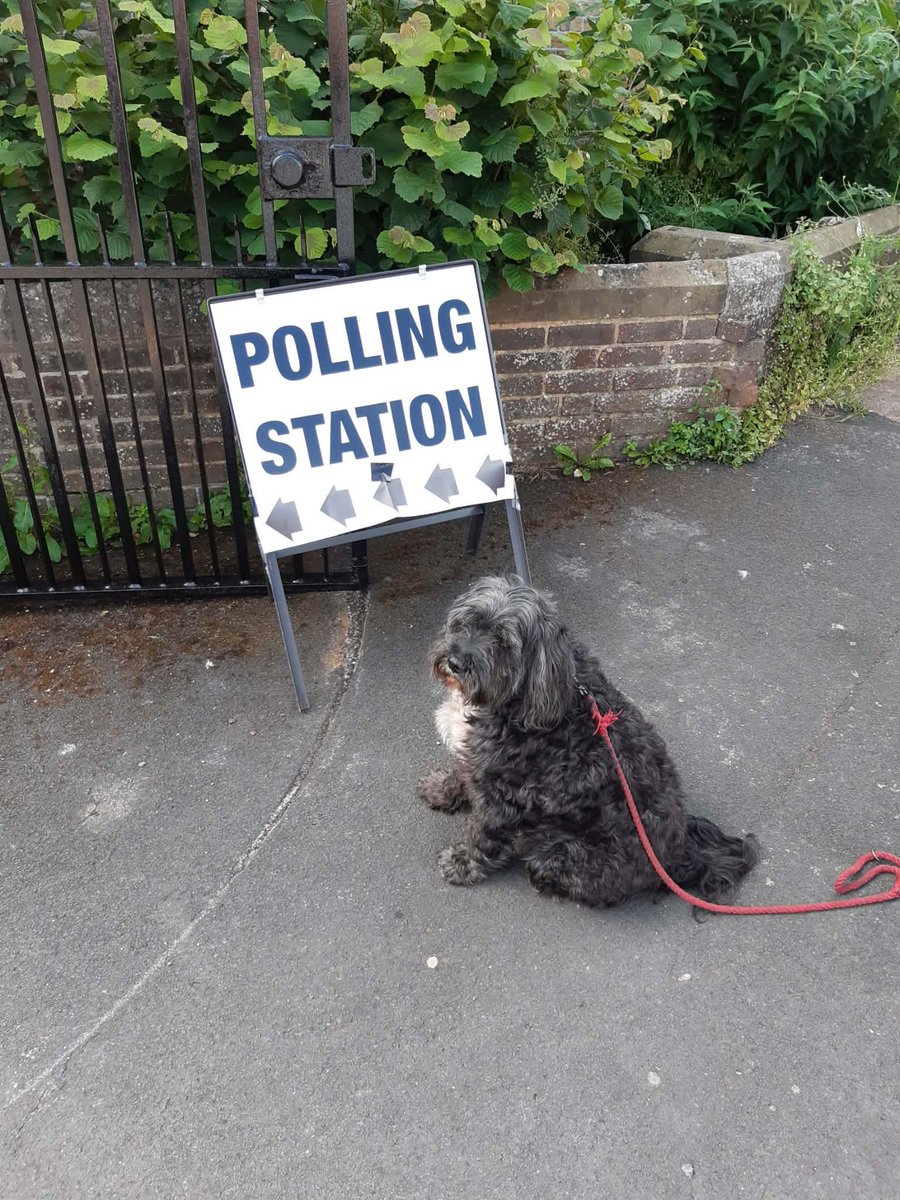 David Wingrave tweet media