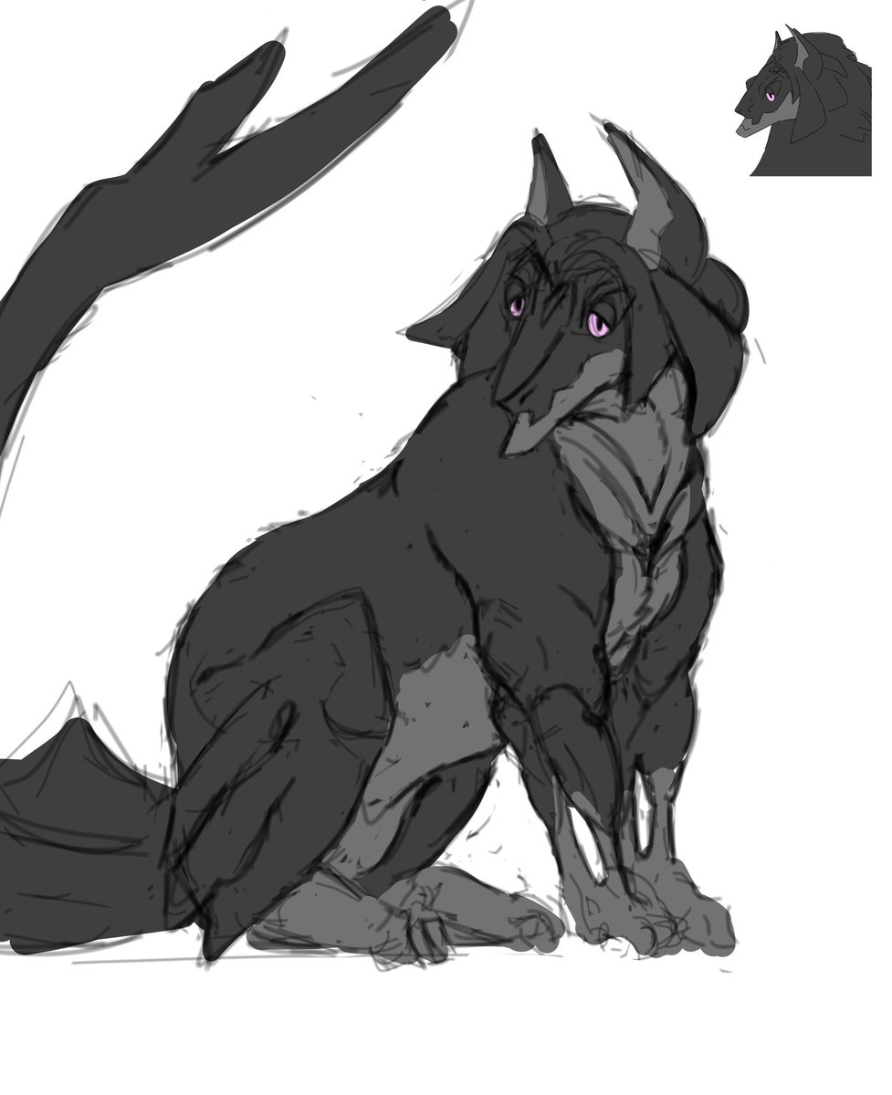 Mowgli 🔞 tweet media