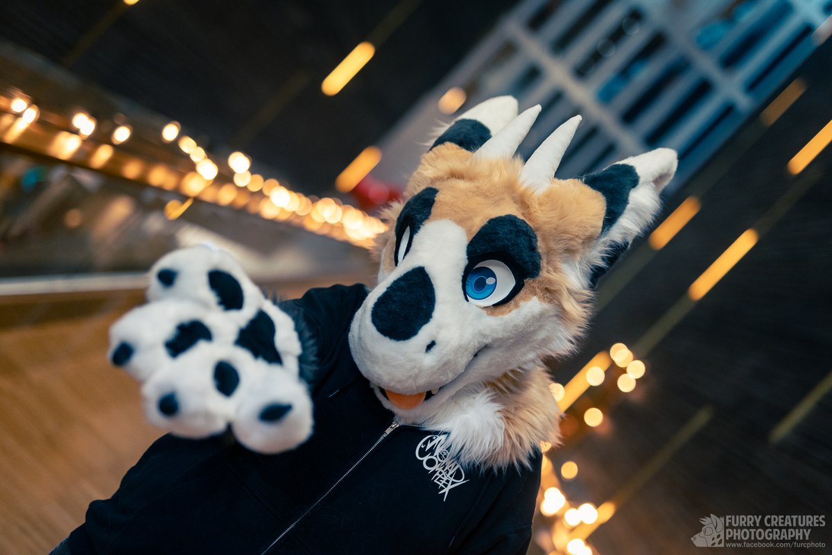 DireCreatures tweet media