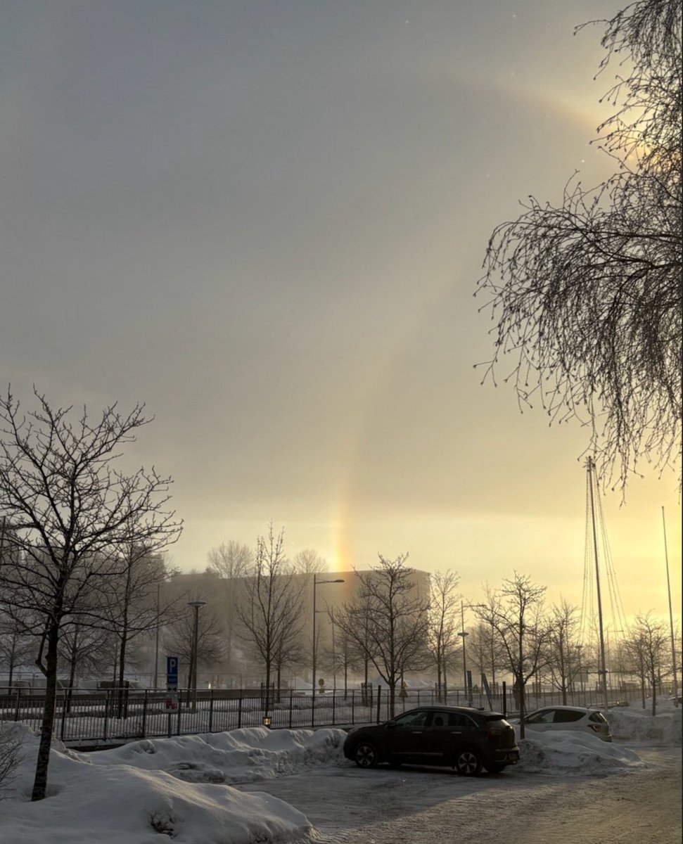 On a surprisingly foggy day of a white and cold February, I saw the rainbow. What a combo! First time for everything eh 🤭