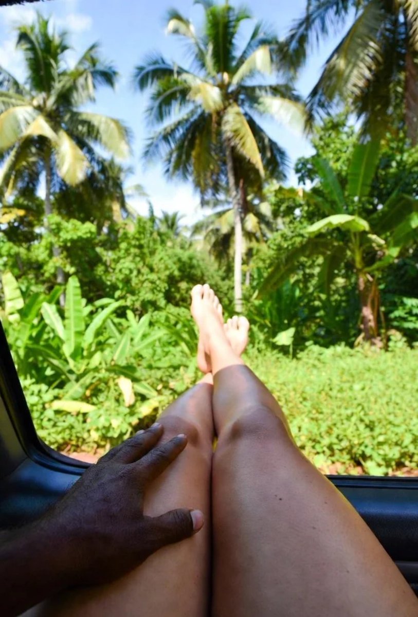 भगजोगनी tweet media