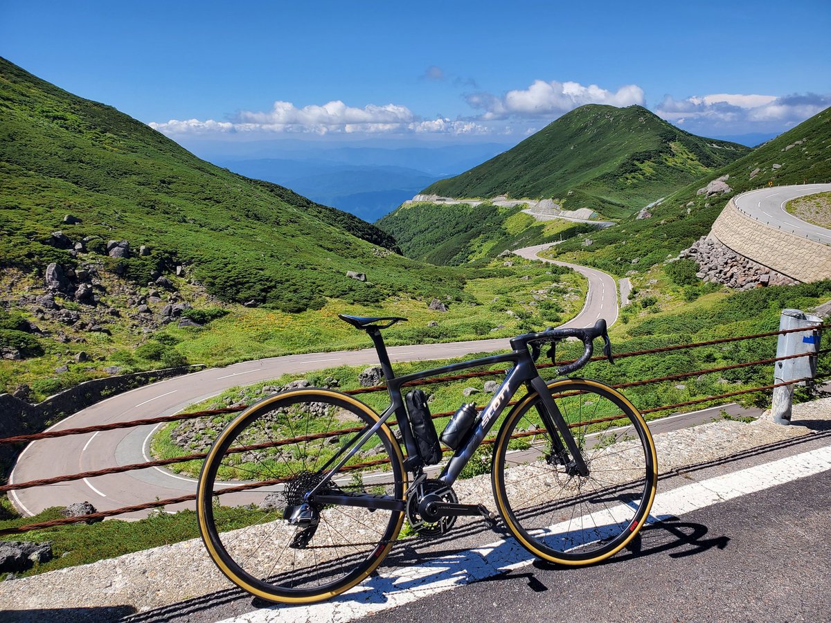 ぴ🦈か🥜い🐻‍❄️ち tweet media