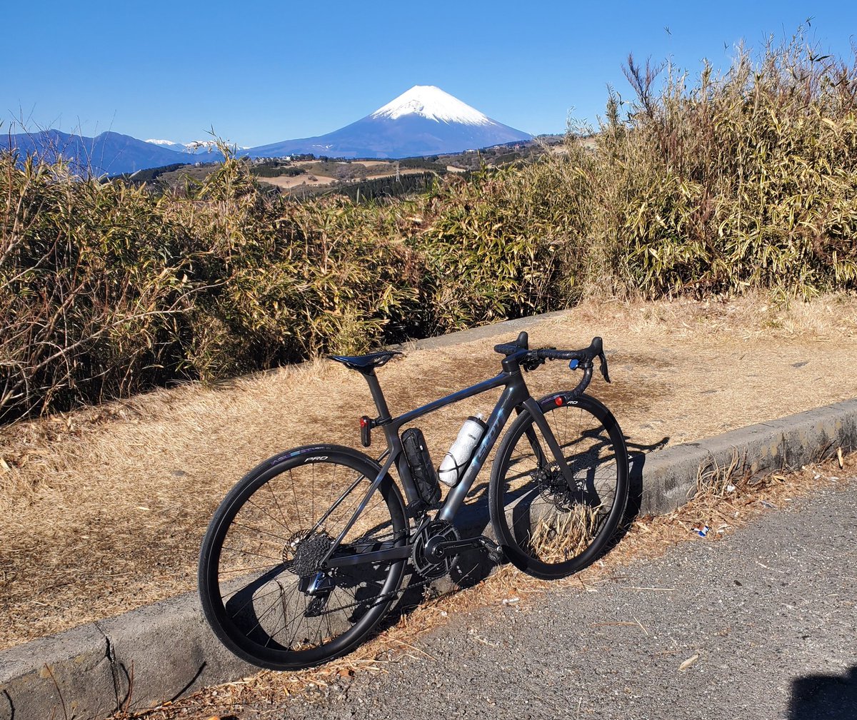 ぴ🦈か🥜い🐻‍❄️ち tweet media