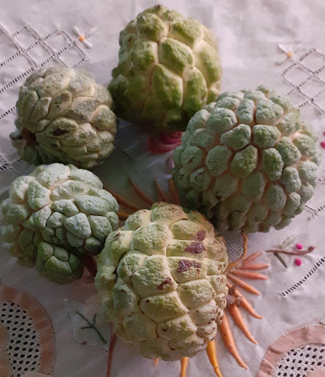 Anón en mi pueblito... #SantaInés 
#Anzoátegui