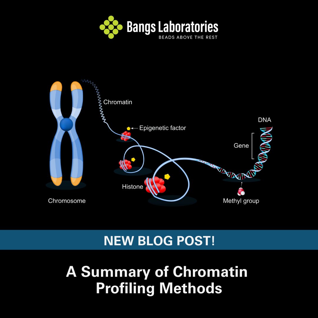 Bangs Labs –– an Ott Scientific company tweet media