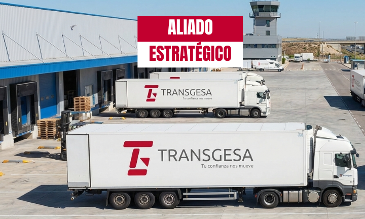 Transgesa tweet media