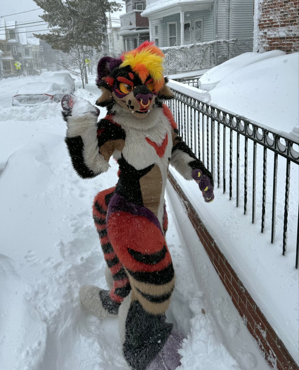 BAD CATTITUDE @ CO tweet media