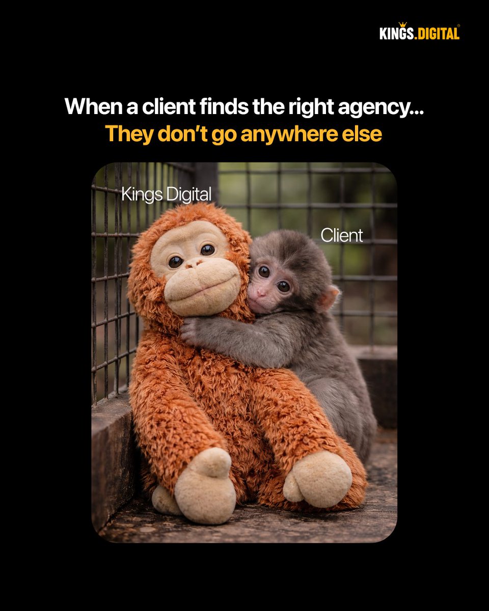 KingsDigital1's tweet photo. Just like Punch, once you find comfort, care, and trust,
You stop searching. You choose what stays.🐵❤️

Because when it feels right, it lasts.
–Kings Digital https://t.co/4cUiKvo0eq