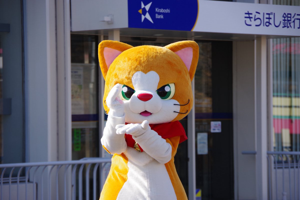 にゃん吉【公式】Nyankichi (@cat_nyankichi) / Posts / X