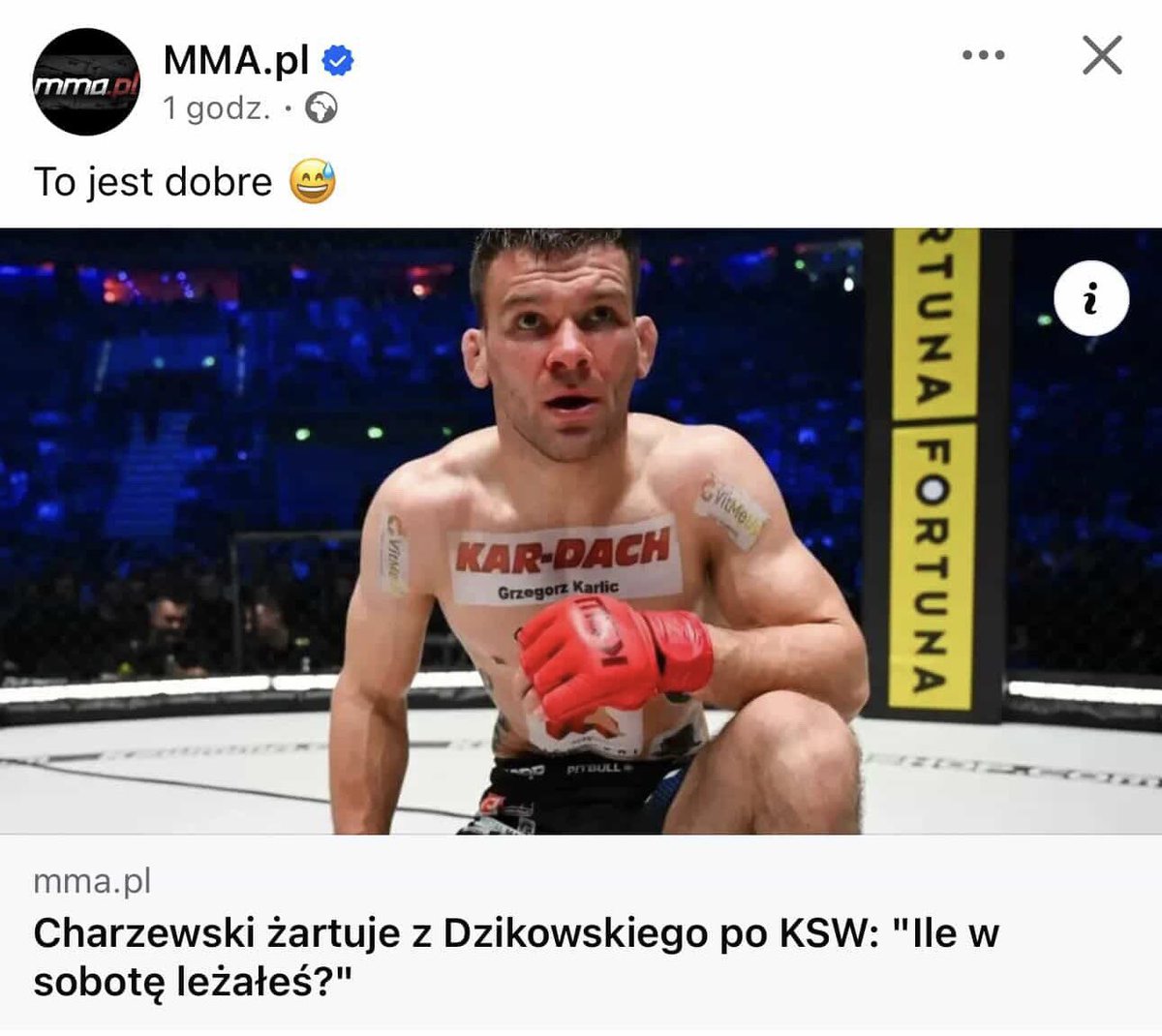Borys Dzikowski tweet media
