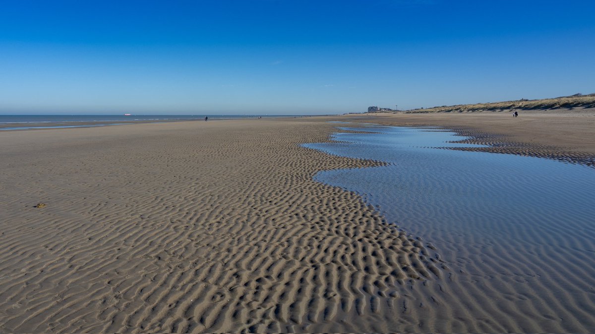 ☄️🌌🔭 ✖️Dam ⚡🌱🐙 tweet media