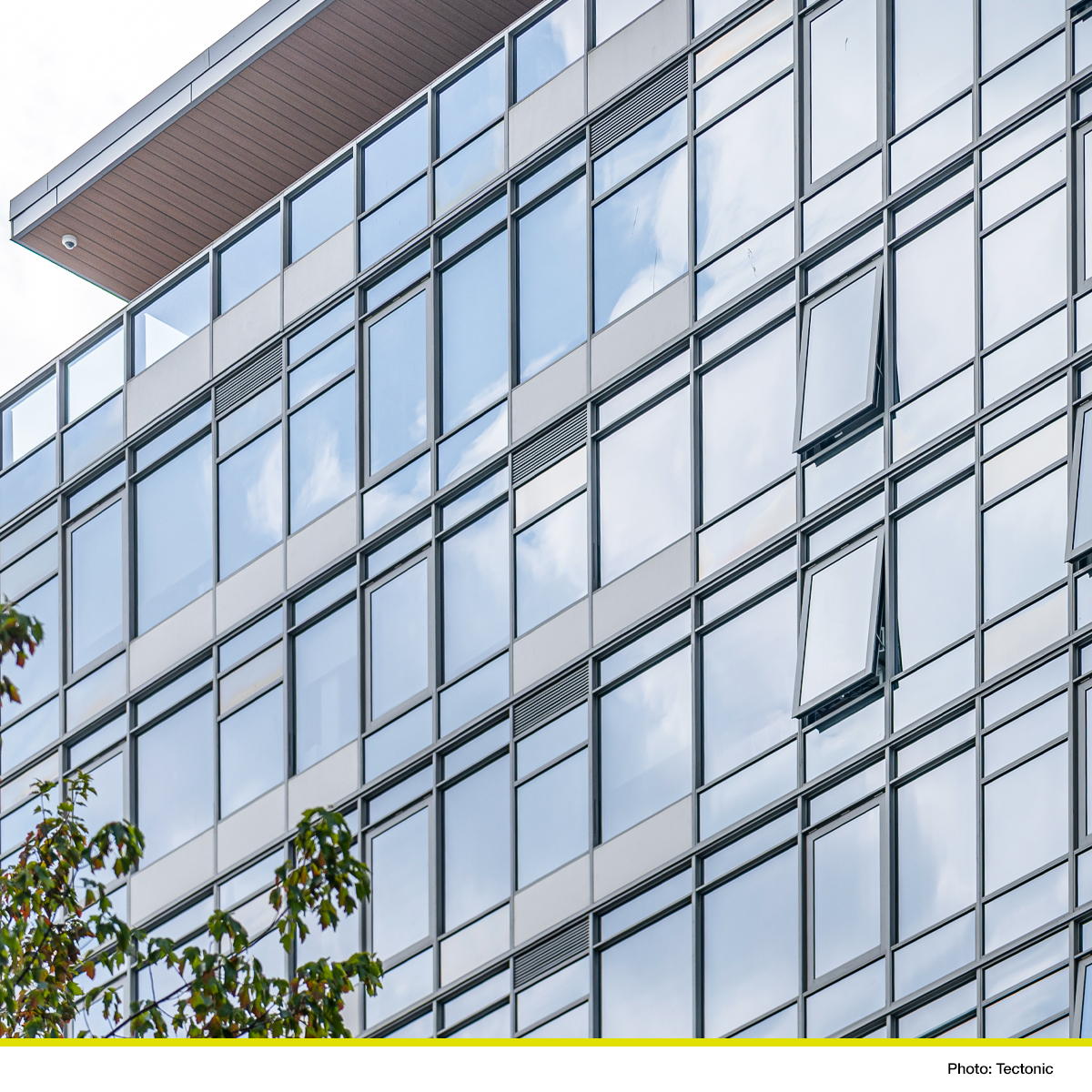 Quest Windows tweet media