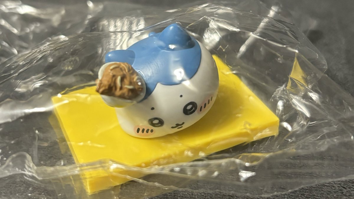 ハニンヘ tweet media