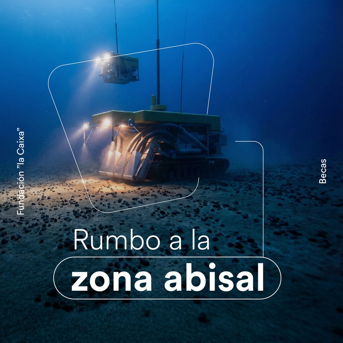 Becas Fundación "la Caixa" tweet media