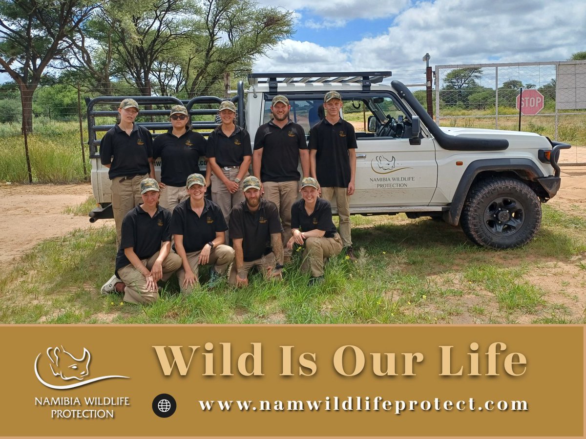 NamWildProt's tweet photo. Our next Anti Poaching &amp; Survival Skills Training Course starts on 16 March !

Contact us today to reserve your spot
carmi@namwildlifeprotect.com

#trainingcamp #survivalist #Namibia https://t.co/TaGzmck3ua
