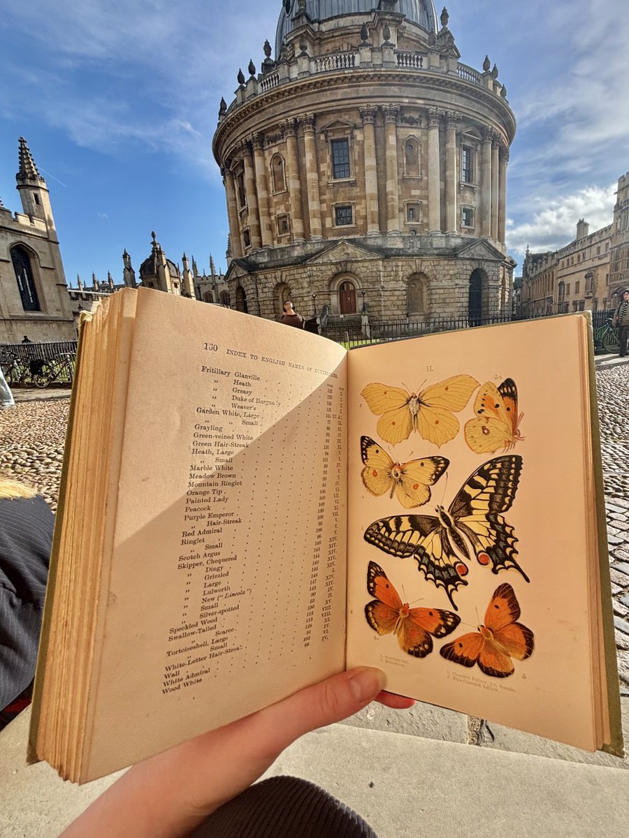 very happy to find this beautiful book of British butterflies (published in 1895!) in a secondhand shop during my lunch break ☀️