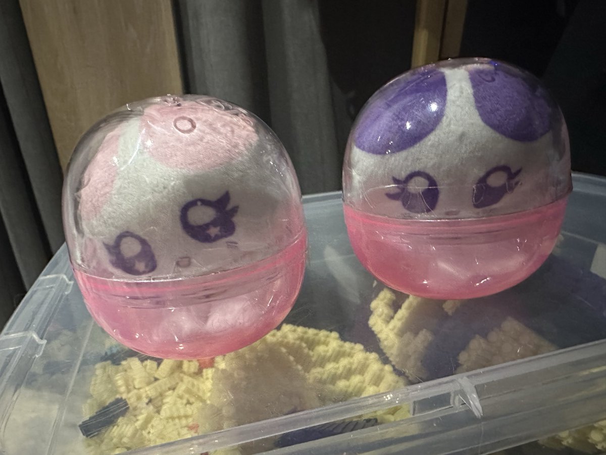 六角マイケル! tweet media