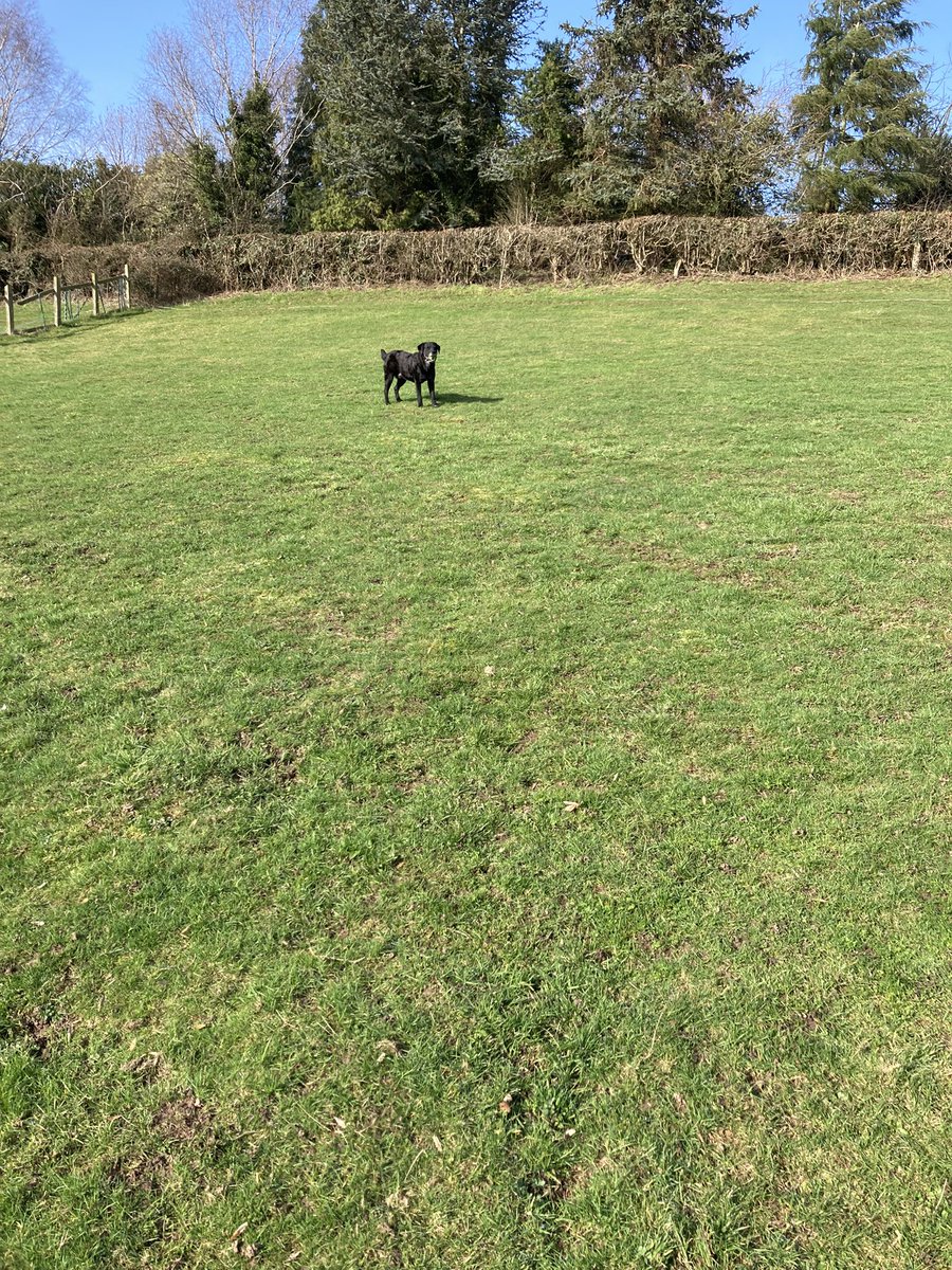 Angel Henry, Olly and Beth tweet media