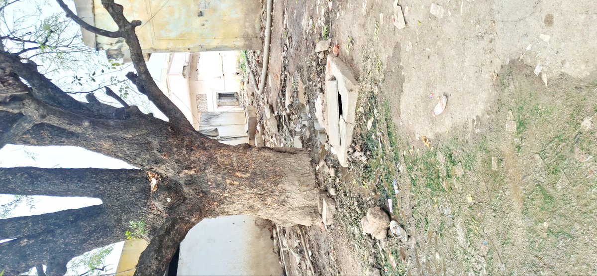 AdamNikhil18's tweet photo. @Arvindharmapuri @Collector_JGTL @minister_adluri @Ponnam_INC @MC_Jagtial This is the condition of NEWBUSTAND jagtial.From past few days worst and dirtiest scenes , citizens are facing problem due to huge trash, bad smell and even pigs are resting on the path .Resolve this issue https://t.co/SE3Td04bj7
