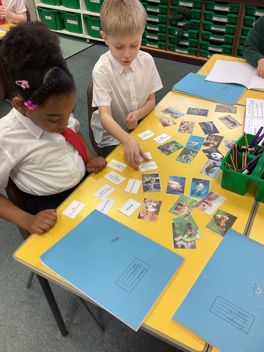 St Margaret Mary's RC Primary School tweet media