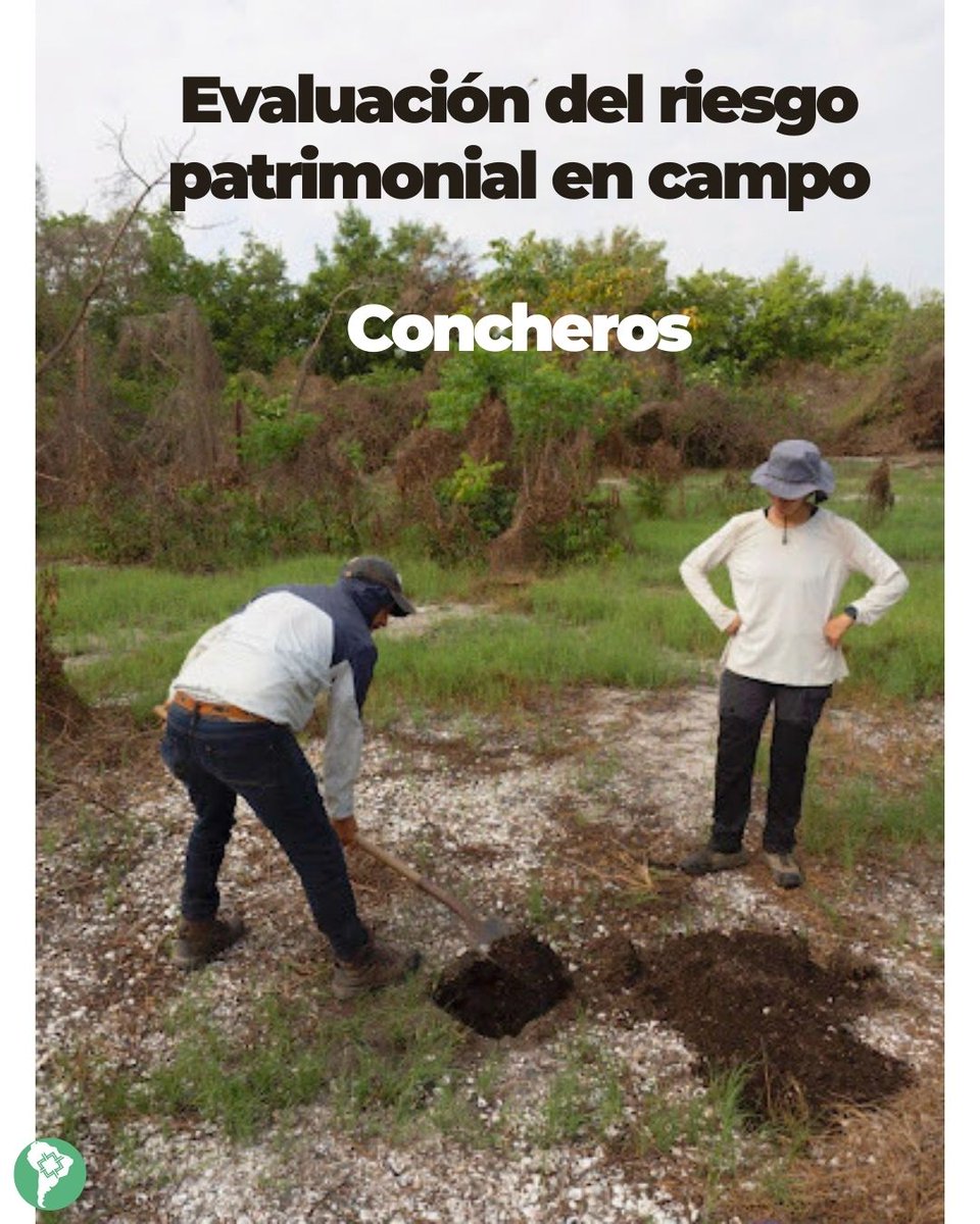 MAPHSA Project tweet media