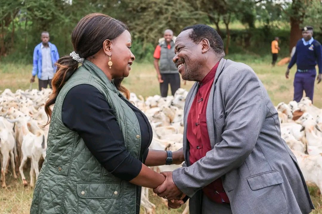 ndolo2941's tweet photo. In our deliberate effort to restore and strengthen livestock farming in Kivaa, Mbiuni, Masinga Central, and Kibauni my government distributed 6,745 Galla goats to local farmers.
~ Governor  @Wavinya_Ndeti
#MachakosCountyAddress https://t.co/s0Mtn18Au3