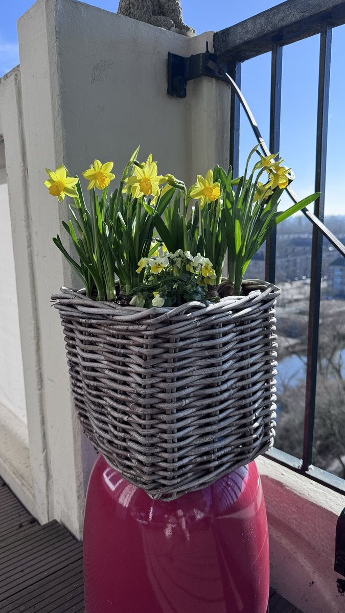 Maureen de Jong tweet media