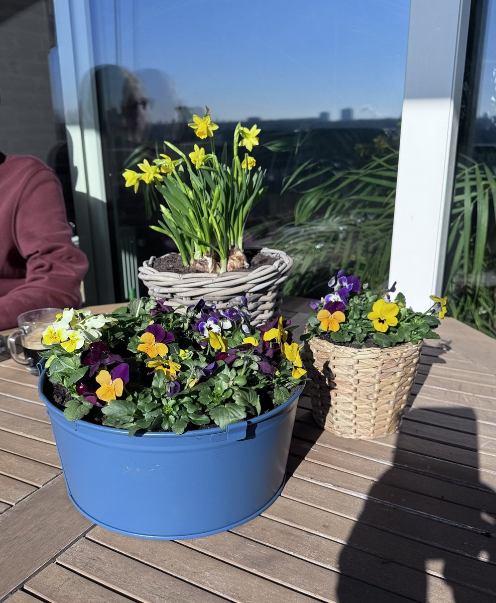 Maureen de Jong tweet media