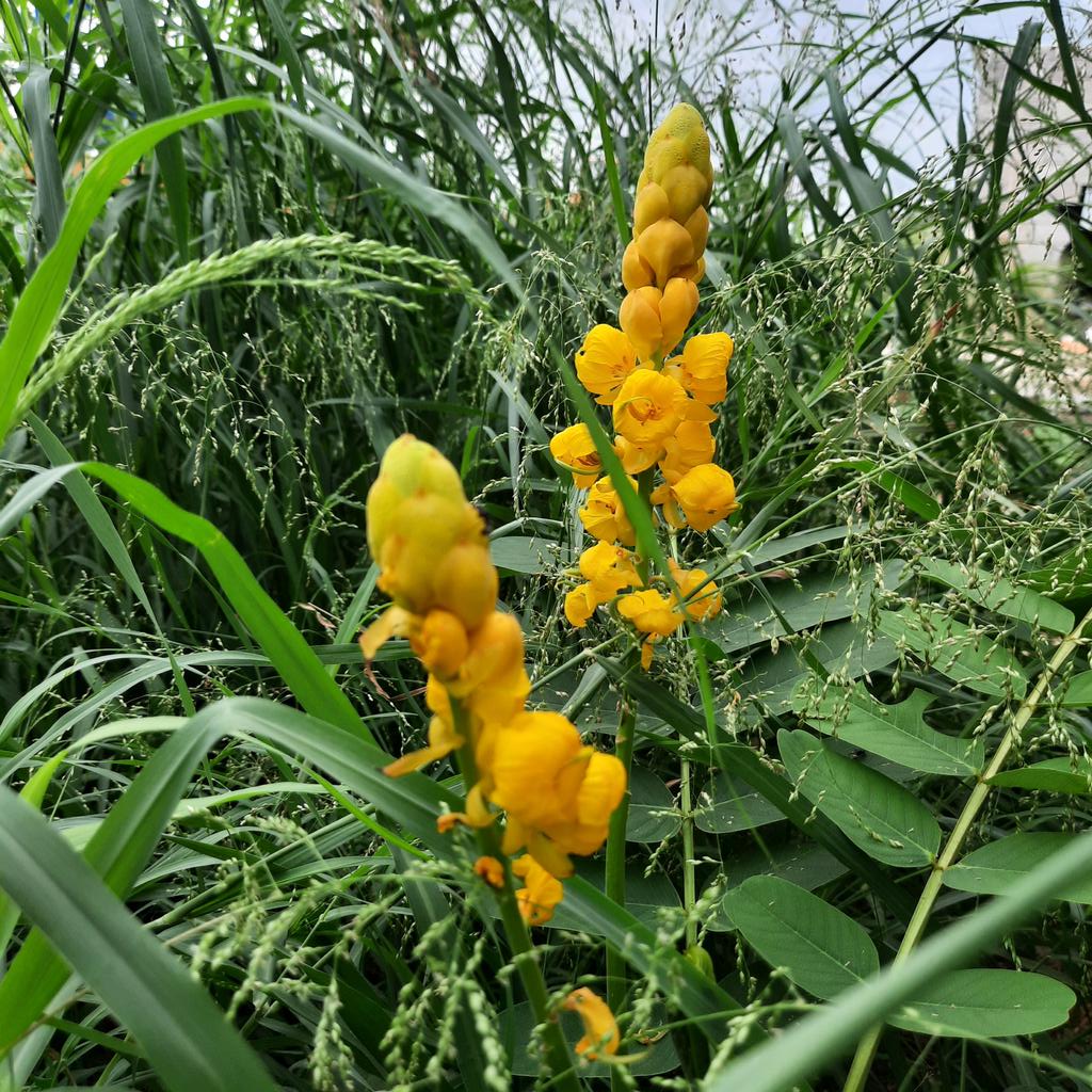 من عدستي . كم تستحق من 10