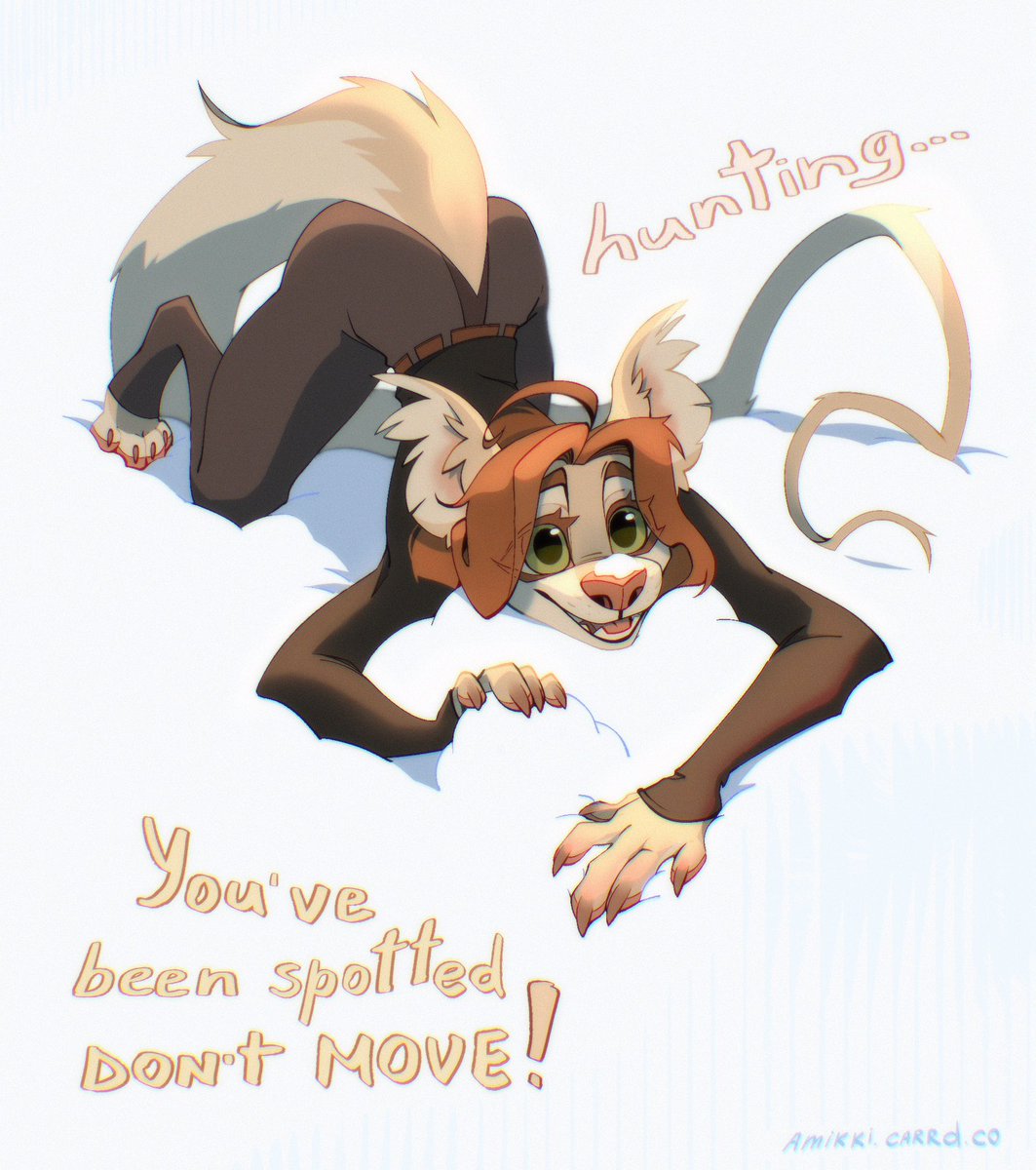 Sometimes Molly turns on hunter mode, forgetting that she can walk on two legs 👀