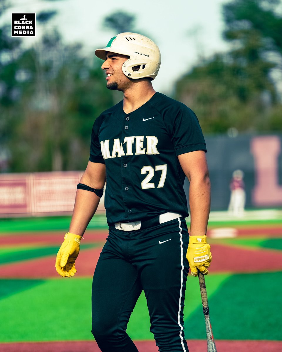 BLACK COBRA MEDIA tweet media