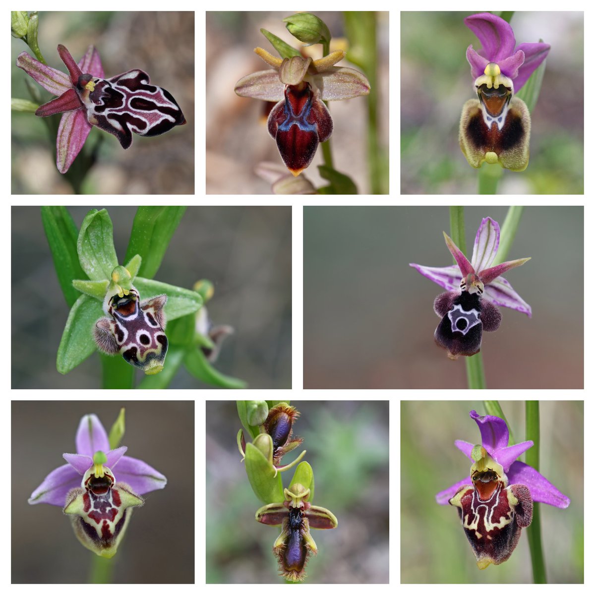 Matt Berry tweet media