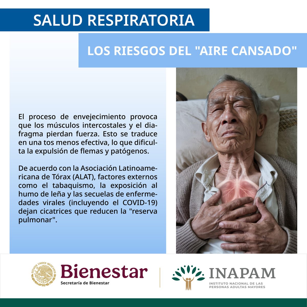 INAPAM's tweet photo. El #EnvejecimientoPulmonar debilita el #Diafragma y los #Músculos del #Tórax haciendo que la #Tos sea menos efectiva para limpiar los #Pulmones #Factores como #Tabaquismo y #EnfermedadesRespiratorias dejan #Cicatrices que reducen la #ReservaPulmonar #EligeCuidarte #AcudeAlMédico https://t.co/tAEONhThAo