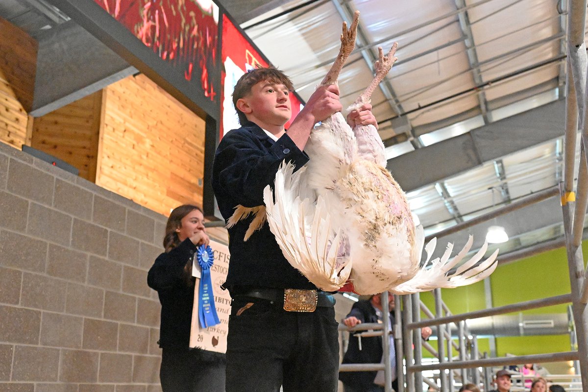 Cypress-Fairbanks ISD tweet media