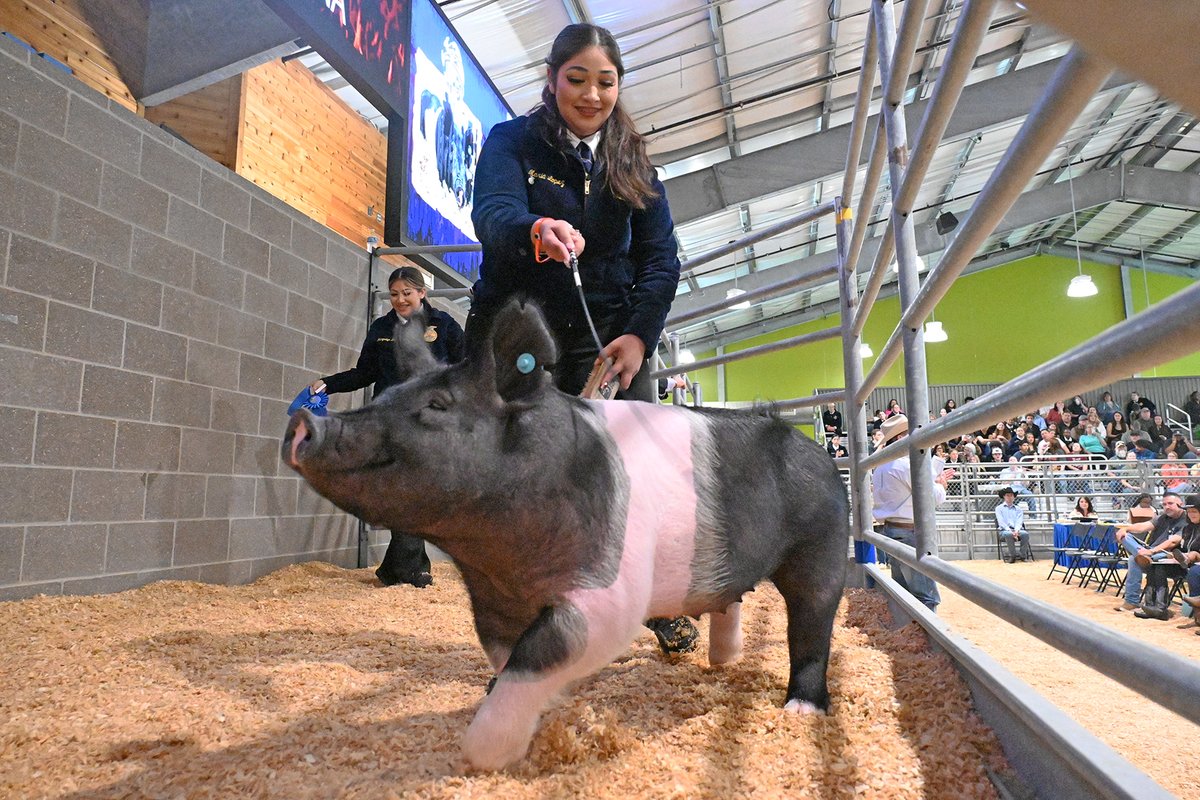 Cypress-Fairbanks ISD tweet media