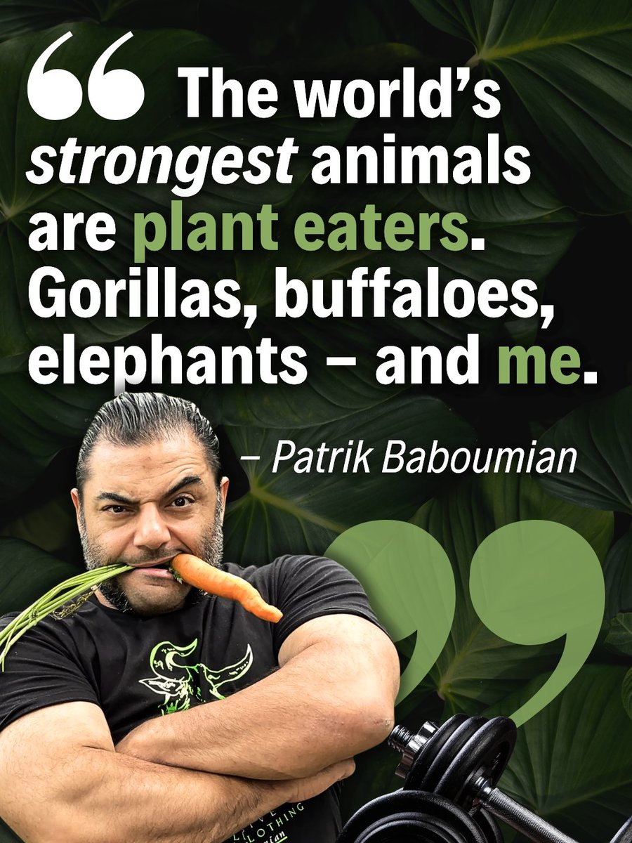 teamveganfta's tweet image. Patrik Baboumian is an excellent example of plant based power! 💪🥦

💬 patrikbaboumian (IG)

#plantpower #veganpower #veganstrength