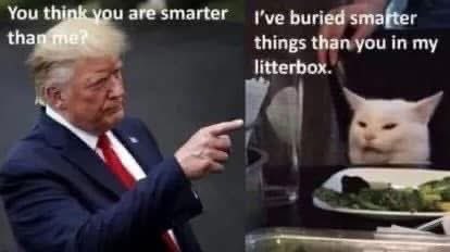 jesse (@jess072417) on Twitter photo 