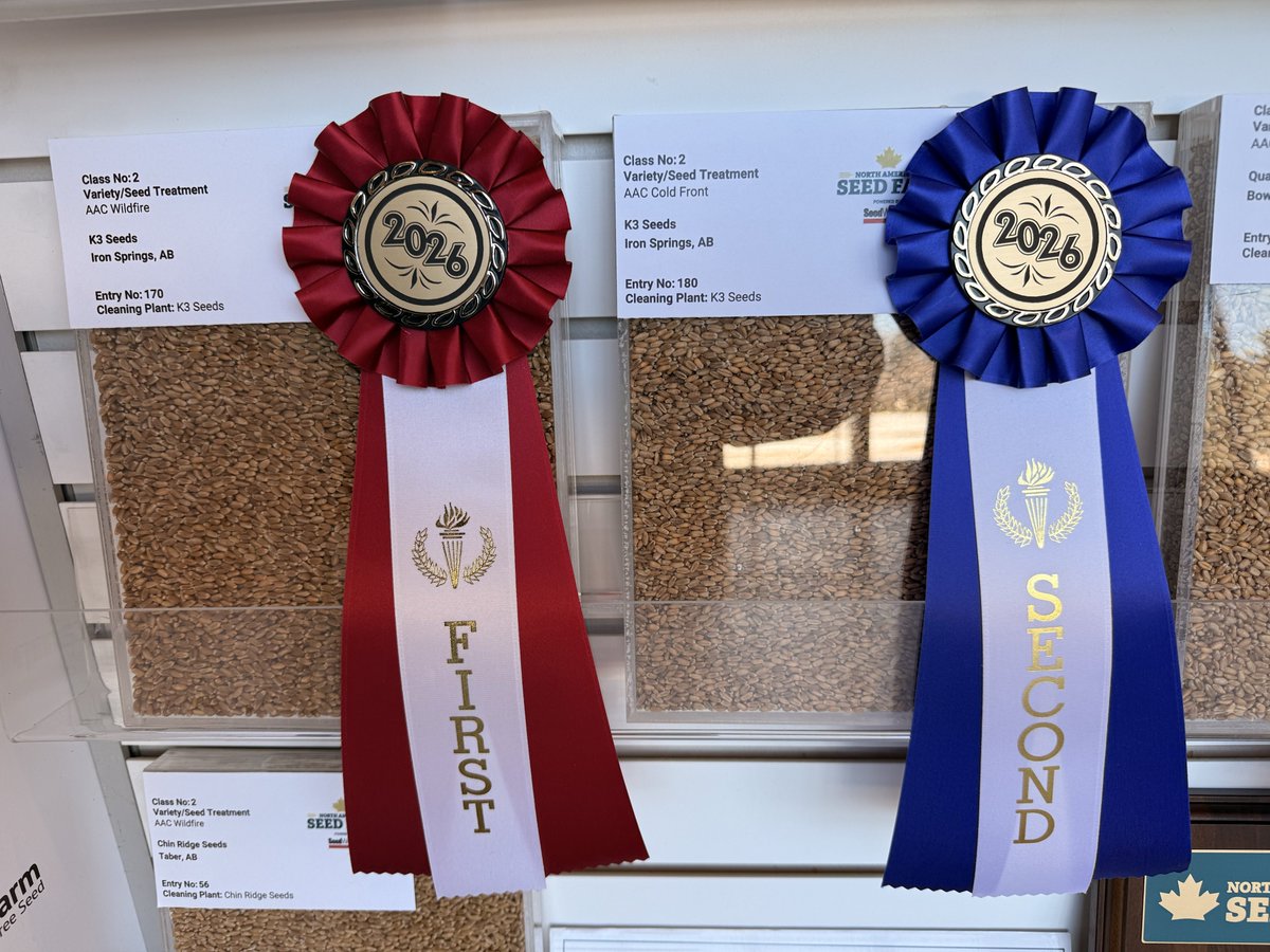 K3 Seeds tweet media