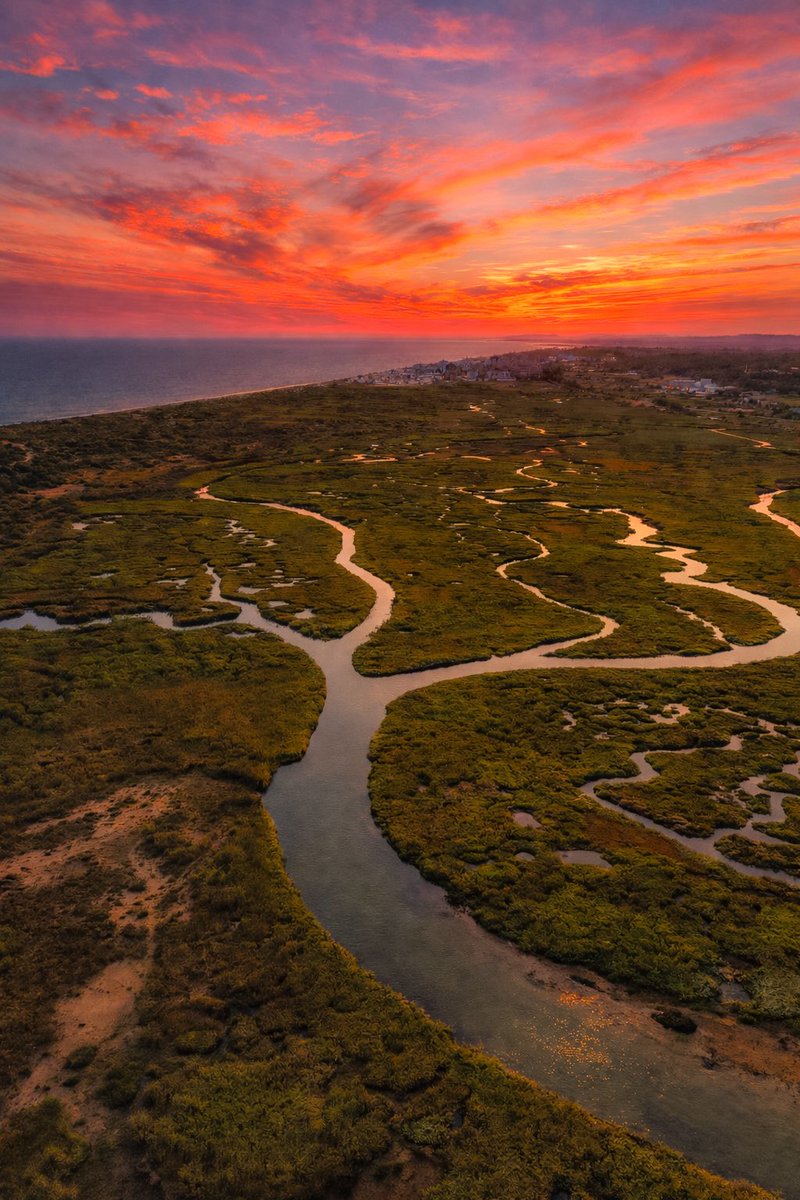 Rafaelsanexp tweet media